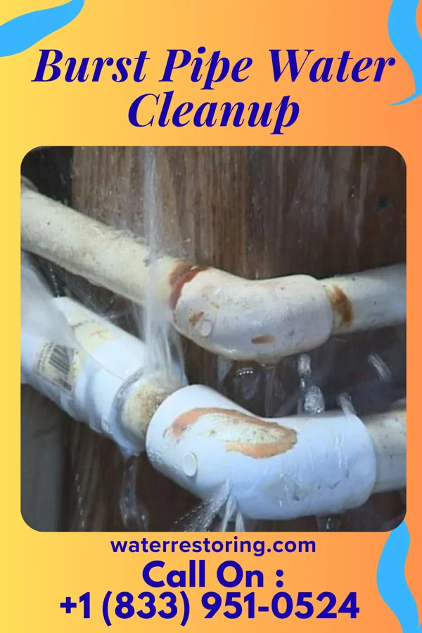 Burst Pipe Water Cleanup in Ranchettes, WY