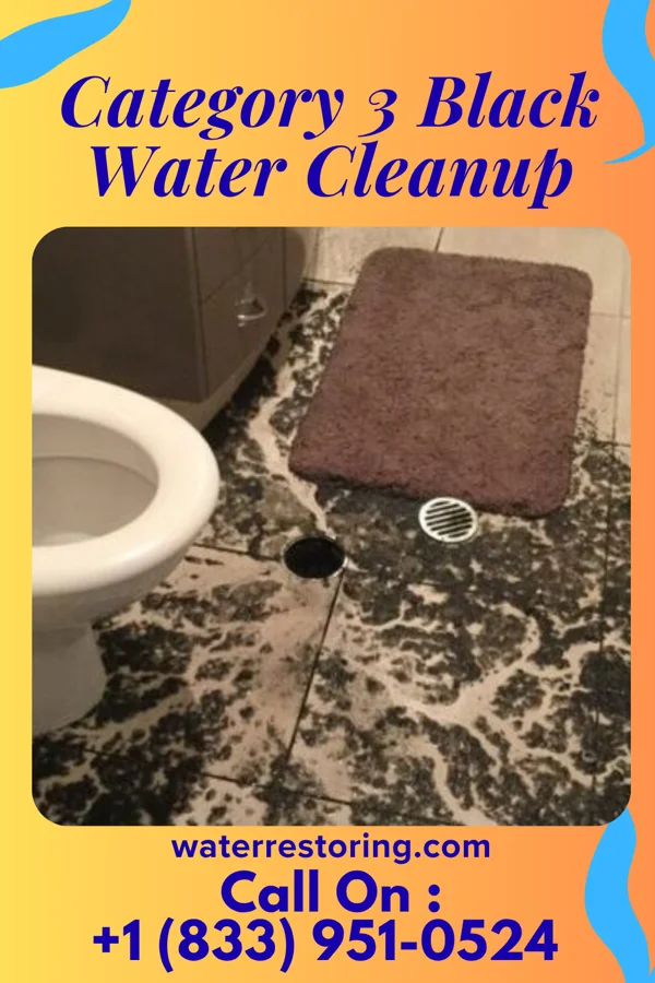 Category 3 Black Water Cleanup in Ranchettes, WY