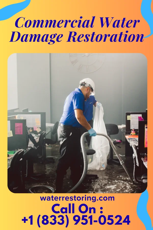 Commercial Water Damage Restoration in Ranchettes, WY