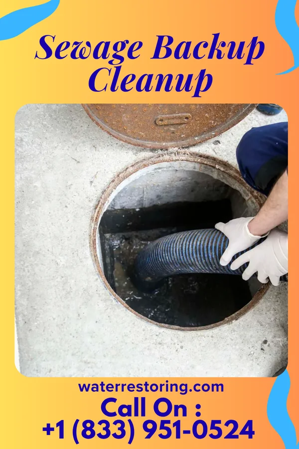 Sewage Backup Cleanup in Ranchettes, WY