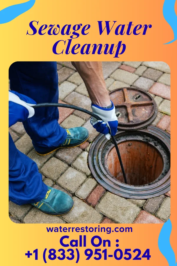 Sewage Water Cleanup in Ranchettes, WY
